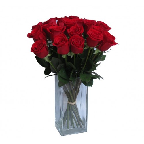Rosas No Vidro