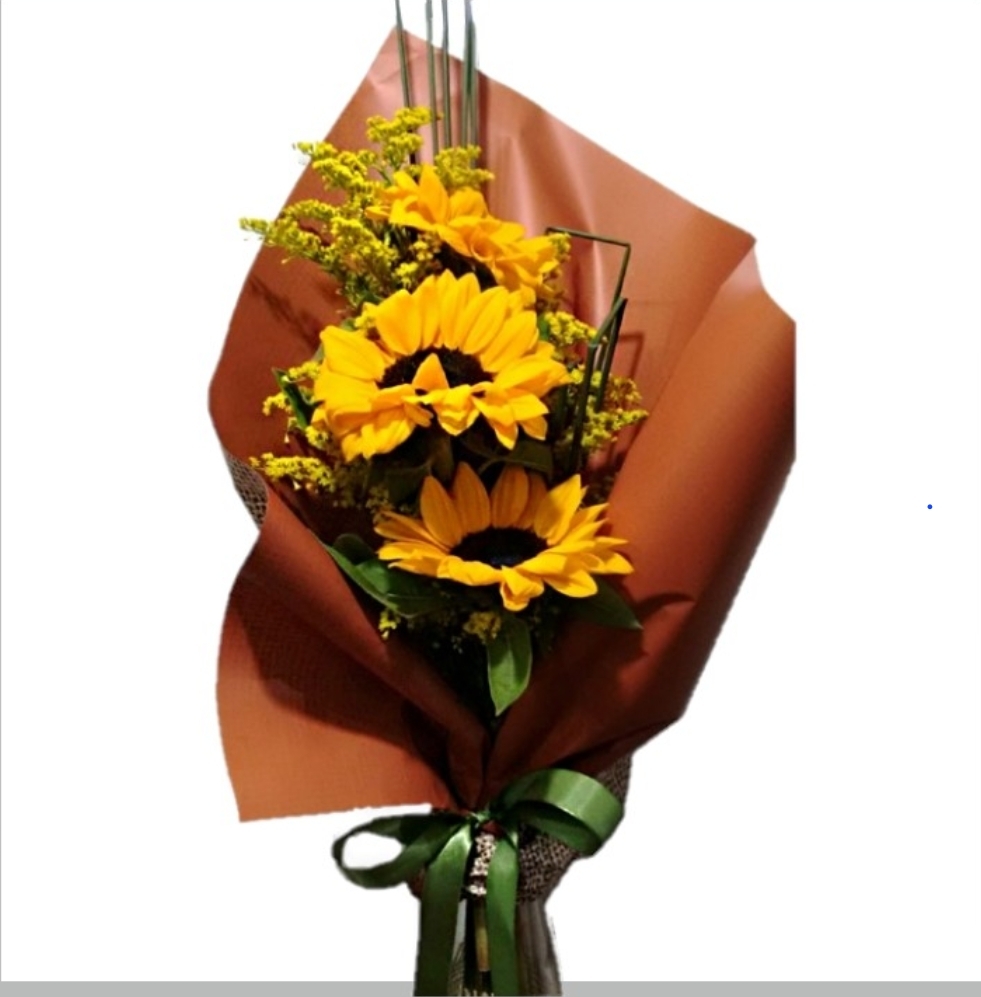Mimo de Girass�is